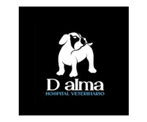 veterinaria_dalma_01