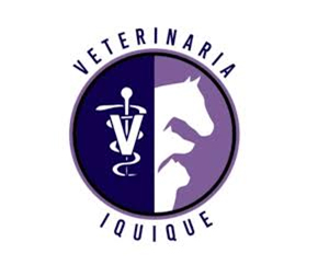 veterinaria_iquique_01