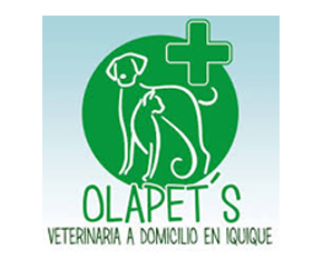 veterinaria_olapet_01