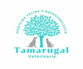 veterinaria_tamarugal_01