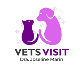 veterinaria_vetsvisit_01